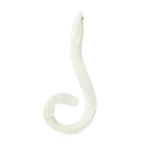 E-TING Sexy Cat Tail Long Fur Neko Anime Cosplay Party Costume Lady Girls Gift(White tail) - E-TING